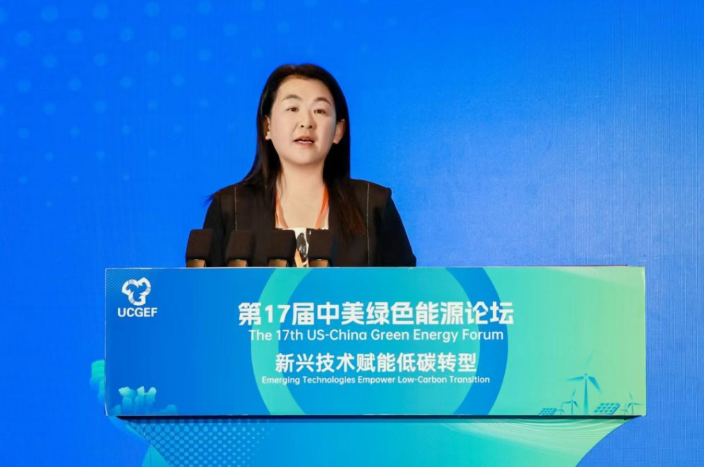 中国电机工程学会副理事长陈梅